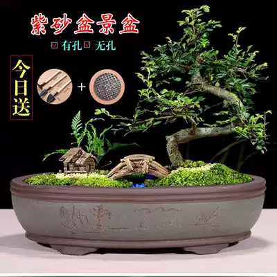 Yixing oval extra large purple sand courtyard household banyan tree bonsai basin Non-porous rockery absorbent stone with tray