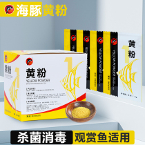 Japanese koi yellow meal fish medicine goldfish fish lucky money rotten meat treatment disease sterilization disinfection medicine