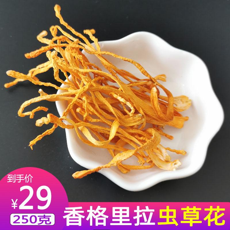 Cordyceps sinensis dried goods Cordyceps militaris spore head Cordyceps sinensis 250g soup material