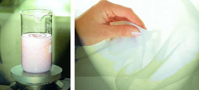 Coques pour soutien-gorge AMOENA - Ref 815948 Image 4