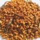 ອາຫານແມວທົ່ວໄປ 5 kg 10 kg marine salmon baby cat food big bag adult cat stray cat main food pet 1 kg