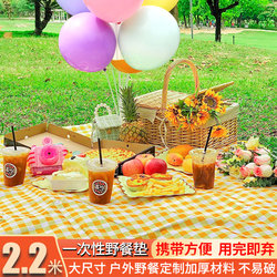 Disposable Picnic Mat Outdoor Camping style thickened Spring Outing Tablecloth Enlarged Ground Mat Outing Tablecloth Beach Mat Picnic Cloth