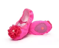 08 танцевальная обувь Rose Red