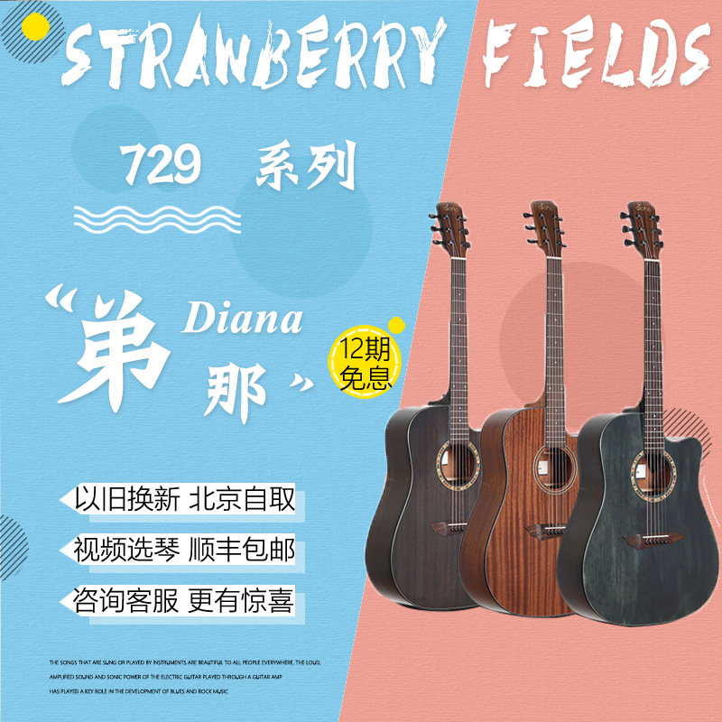 Diana Dina guitar Dina 729 vintage log Beginner student Novice beginner Practice guitar