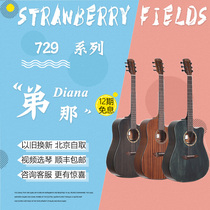 Diana Dina guitar Dina 729 vintage log Beginner student Novice beginner Practice guitar