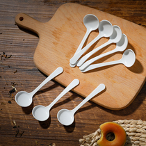 Spoon Spoon Spoon Stirling Spoon Plastic Spoon Salt Spoon Salt Spoon