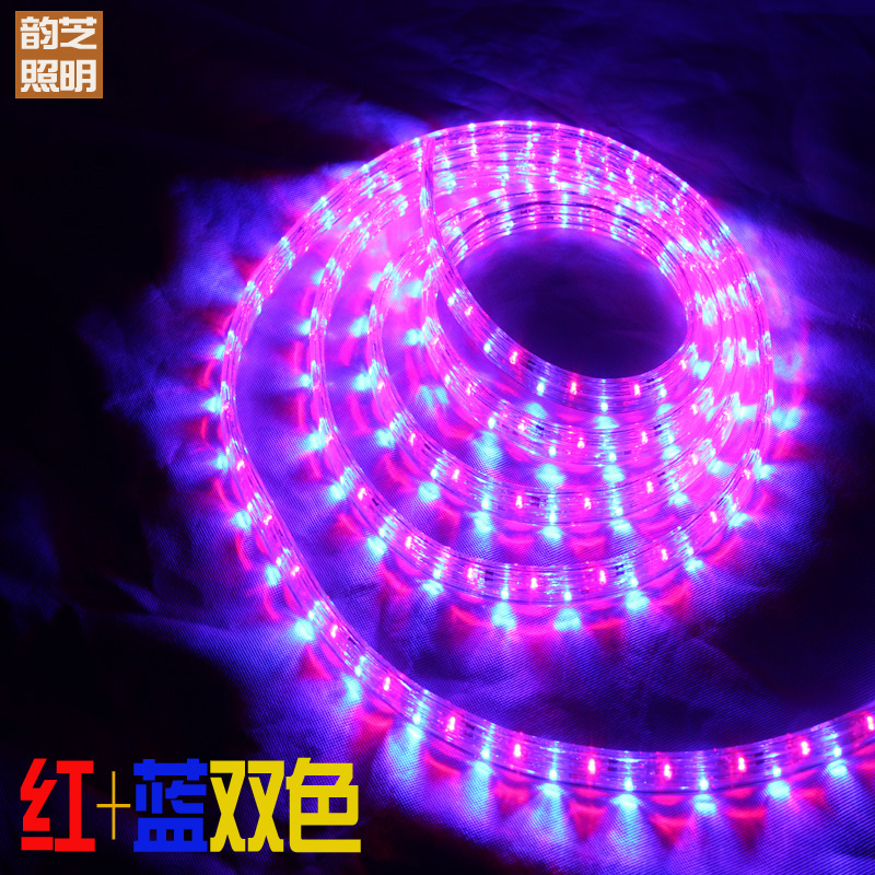 Red Blue Bicolor Decorative line light neon light with discoloration twinkling purple waterproof LED Background Living room Dark trough light belt
