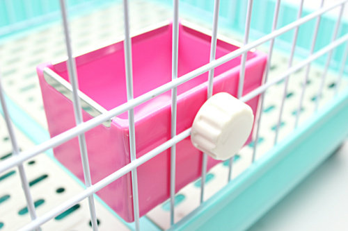 Rabbit Eating Basin Grass Rack Guinea Pigs Dragon Cat Squirrel Two-in-one Grass Rack External Anti-Nibble Fixed Eating Basin-Taobao