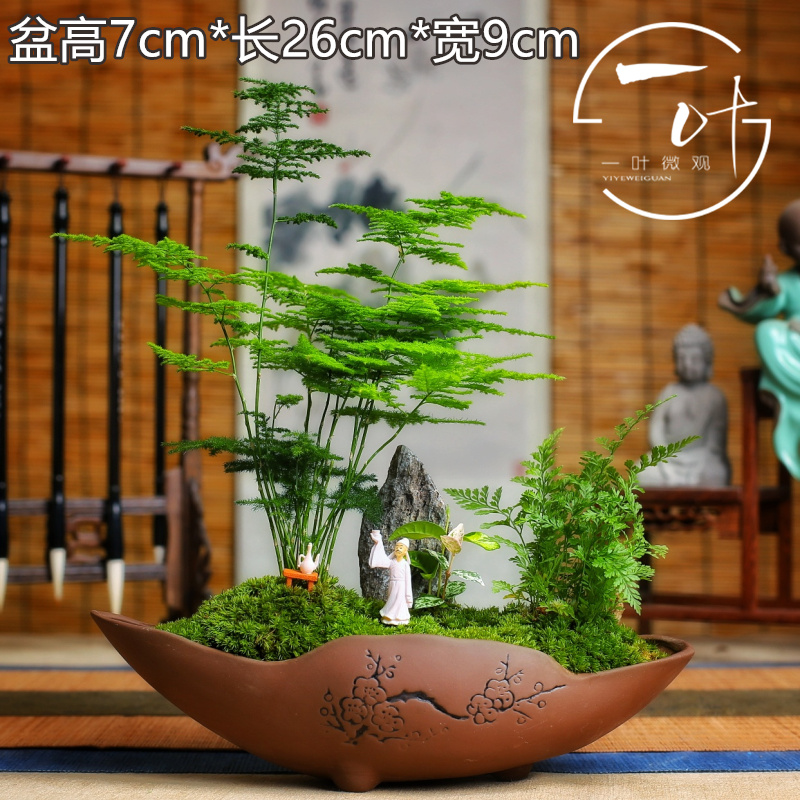 Lùn nhỏ tre nhỏ chậu tre trong nhà hoa màu xanh lá cây cây cảnh đám mây tre bàn trà trang trí hoa chậu vi cảnh - Trang trí nội thất phụ kiện trang trí bàn làm việc