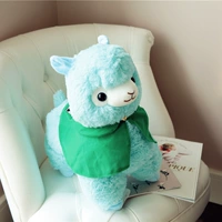 Синий плащ, альпака