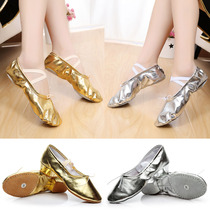 Dance shoes Girls Soft Soled practice shoes Adult Yoga Dance Shoes Ballet shoes Cat Claw shoes Pink platinum silver