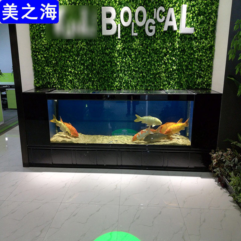Double Side Filter Ecological Fish Tank Aquarium Company Front Room Living Room Free of water Large 2 m 3 m rectangular ground cylinder