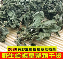 Hongze Lake wild wrinkled fur with roots and young leaves the whole artificial sun-dried lychee grass the new snow primrose tea of the year