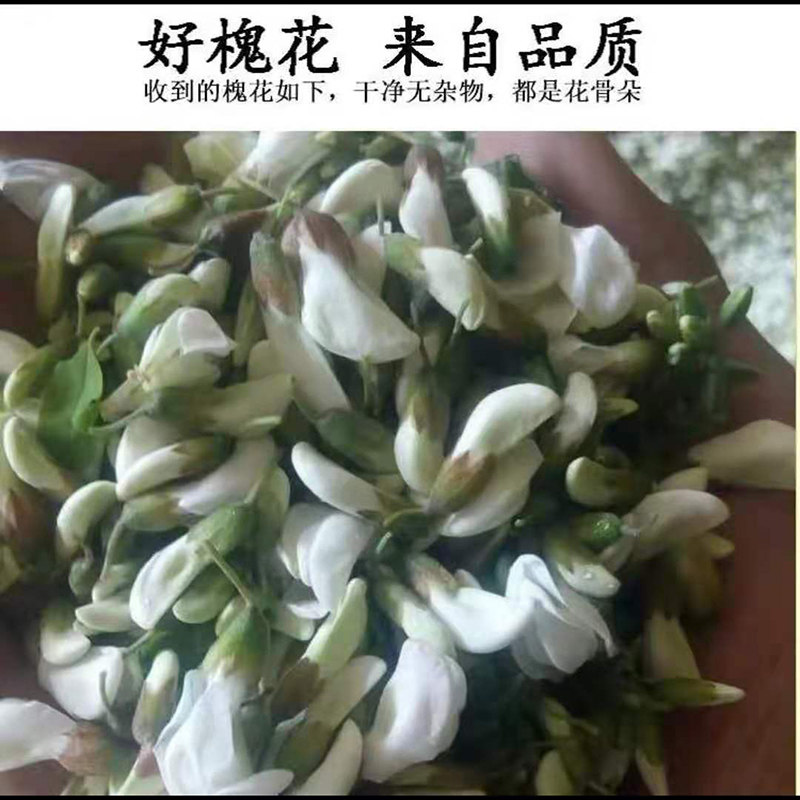Fresh locust flowers are picked on the same day and found that acacia flowers are pure wild locust flowers, wild cauliflower flowers, bones, elm money, edible tea
