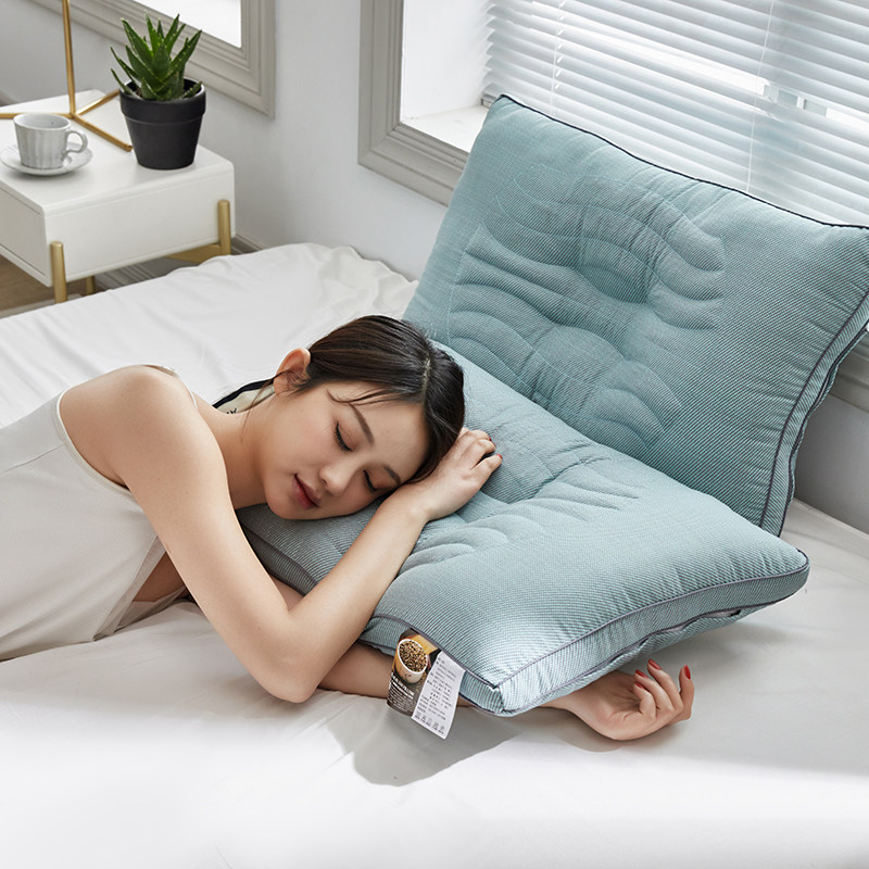 Pillow pillow core Summer Cassienna Cervical Spine Pillow Aid Sleep Home All Cotton Single Double Pillow One Season Universal