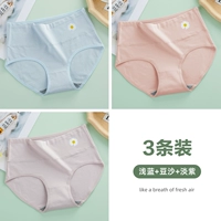 3-световой синий+паста из бобов+светло-фиолетовый