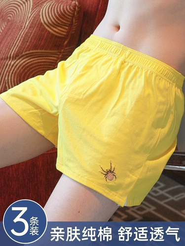 Трусы, хлопковые дышащие штаны, свободный крой, подходит для подростков