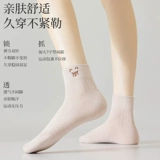 Осенние демисезонные носки, спортивные тонкие белые милые гольфы