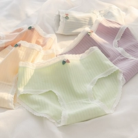 【5 Fit】 Leaf Xiaohua