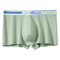 Mens underwear boys pure cotton antibacterial boxer briefs mens sports breathable youth boxer shorts new style