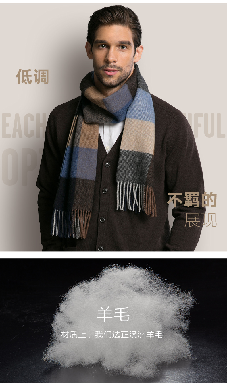 Echarpe pour homme en Laine - Ref 3161261 Image 9