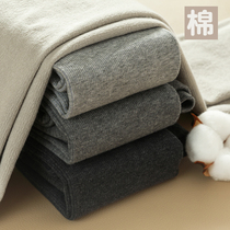 Leggings Womens exterior wear spring and autumn gray medium thickness plus velvet cotton pants thread slim vertical stripes autumn and winter pantyhose