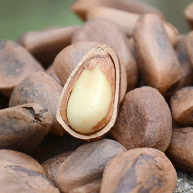 Northeast Opening Pine Nuts New Stock Original Taste Non-Fried 400g Pregnant Women Eat Nuts Zero Food Teogenic Mountain Wild growth