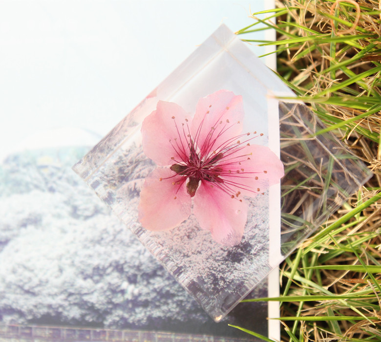 Three life three peach flower eternal life flower specimen Valentine's Day Tanabata creative romantic birthday gift diy jewelry ornaments