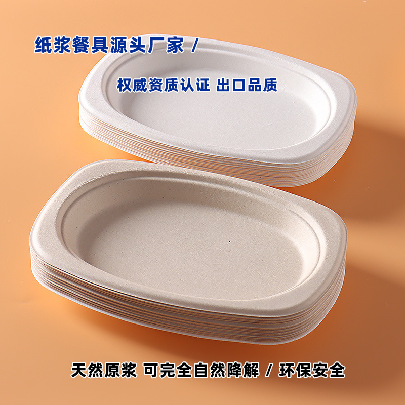 Disposable Biodegradable Picnic Plate, Thickened Waterproof Camping Tableware, Outdoor Barbecue Cake Fruit Plate, Party Plate
