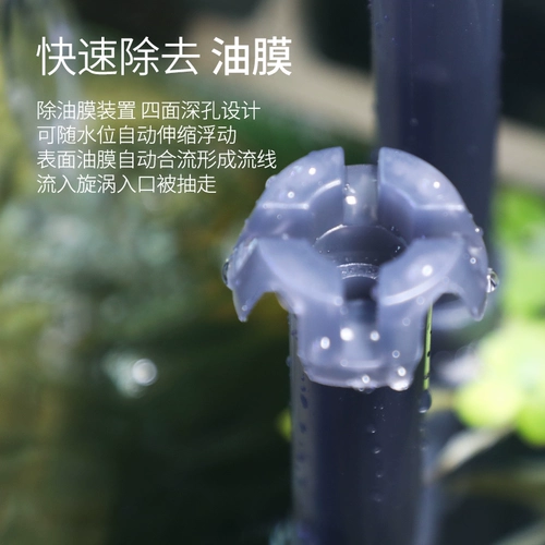 Аквариум, мундштук, оборудование, «три в одном», дайвинг