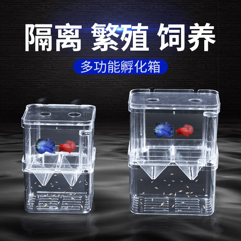 Fish tank isolation box Peacock fish hatcher small and medium size fish large small spawner independent breeding box isolation box