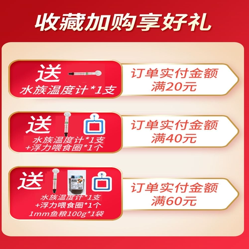 Рыба рыба koi питает специальную плавучую рыбную корм