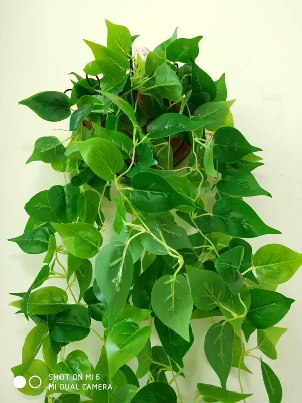 Trang trí tường tắc cây xanh mô phỏng giỏ treo củ cải xanh giả hoa treo tường cây treo hoa lan treo lá xanh - Hoa nhân tạo / Cây / Trái cây cây xanh giả