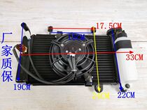 Small ninja water tank 350CC 250CC large sports car motorcycle Baocarved European leopard imitation Kawasaki Small Ninja Water tank