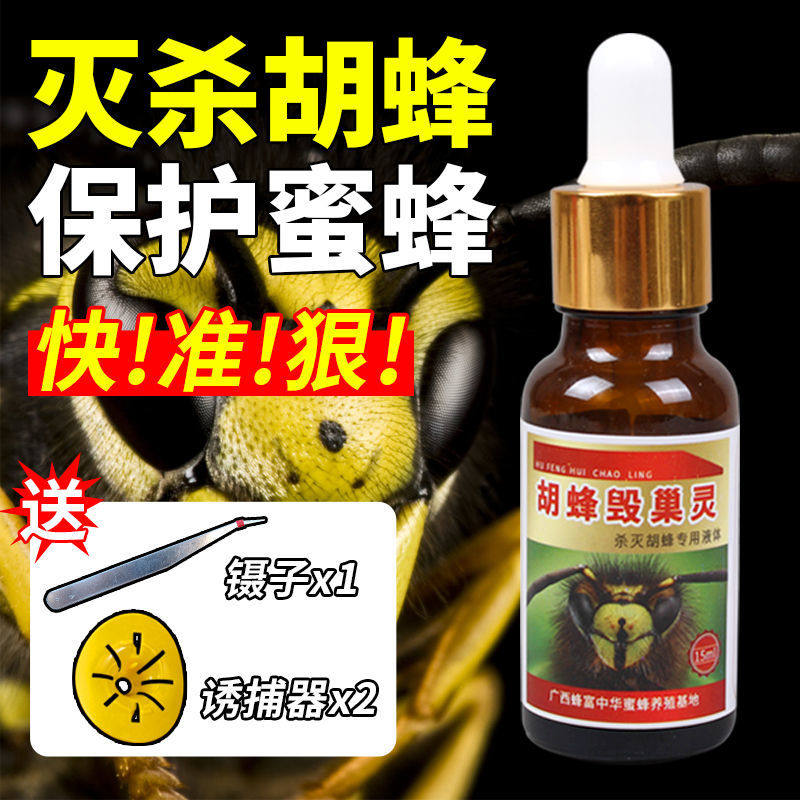 Hubee Destruction Nest Lingo Bee A Day Clear Daubing Agent Kills Beep Wasp Special Hubee Drug Hubee Stars Full Set