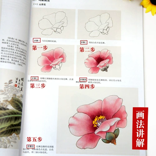 Тщательный контур цветка и метод рисования без костей. Интерпретация методов живописи известных китайских художников. Составлено и проиллюстрировано Ван Чэнтянем. Тяньцзиньское общество живописцев Янлюцин. Традиционные китайские техники рисования. Базовый шаблон для начинающих рисовать. Демонстрация практических шагов копирования. Подлинная книга.