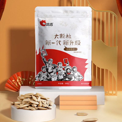 洽洽休闲零食多味瓜子500g×1袋