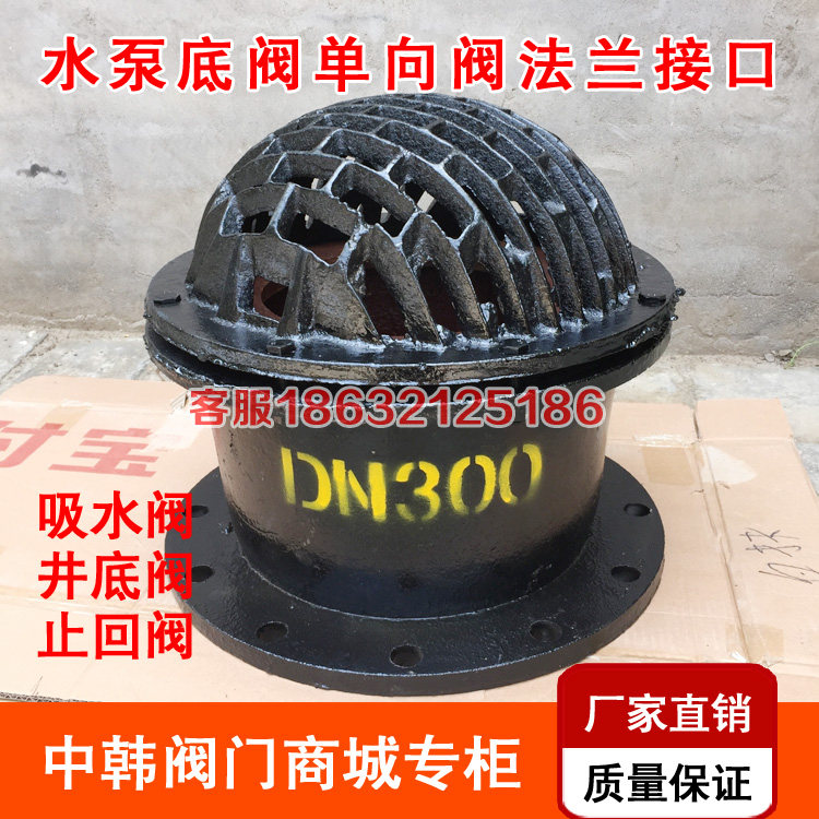 H42X-6 Flanged bottom valve Check valve Check valve Cast iron pump bottom valve DN50 80 100 150 200