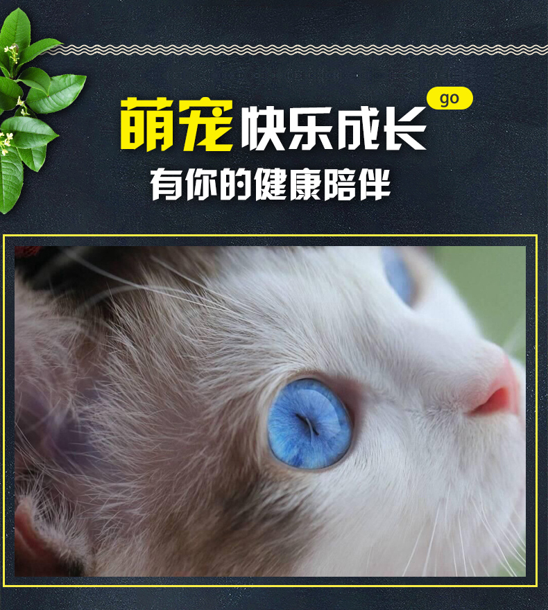 Poly pet dinh dưỡng kem mèo dinh dưỡng mèo con mèo lông sáng mắt điều hòa dạ dày mèo sâu cá dầu kem dinh dưỡng 125g - Cat / Dog Health bổ sung Sữa cho chó lớn