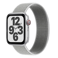 Морская оболочка