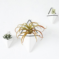 Nordic ins fleshy hanging wall flowerpot wrought iron triangle vase Wall decorative ceramic flowerpot hydroponic flower