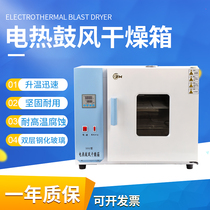 ZTE electric heating constant temperature blast drying oven small laboratory high temperature oven 101 fan electric heating dryer