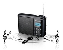 The Winning E250M Little Bee Waist Hanging Teacher Teaching Guided Megaphone Dwin Radio Recorder for a walk