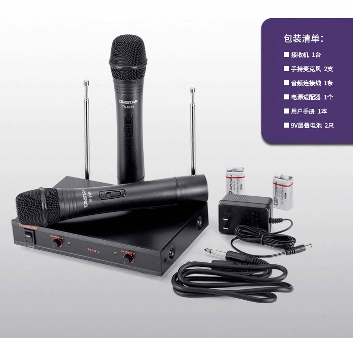 The Winning TS6310HH Wireless Microphone Dewin One Drag Two Microphone Home Singing Conference Stage Speech Outdoor