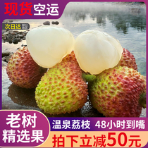 Transport aérien Hainan courtiseur Smiling Spot Now the Giant Fruit 5 Catty Old Tree Lychee Fresh Fruit King