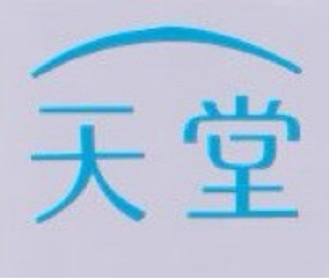 杭州 天 堂 伞 营销店的LOGO