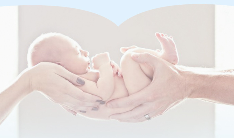 50 túi nhỏ * 10 khăn ướt ướt cầm tay mini sơ sinh cầm tay cho bé khăn ướt cho bé