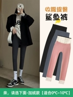 ↓ -add Velvet- [Подходящее 0 ℃ ~ 10 ℃] Розовая эфирное масло Velvet- ↓