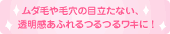 ムダ毛や毛穴の目立たない、透明感あふれるつるつるワキに！