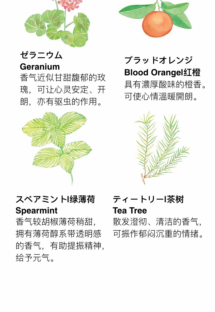 máy tạo độ ẩm bear [Spot] Máy tạo độ ẩm siêu âm MUJI Muji Máy tạo độ ẩm Đặt tinh dầu thơm giúp thư giãn máy tạo ẩm sunhouse điện máy xanh